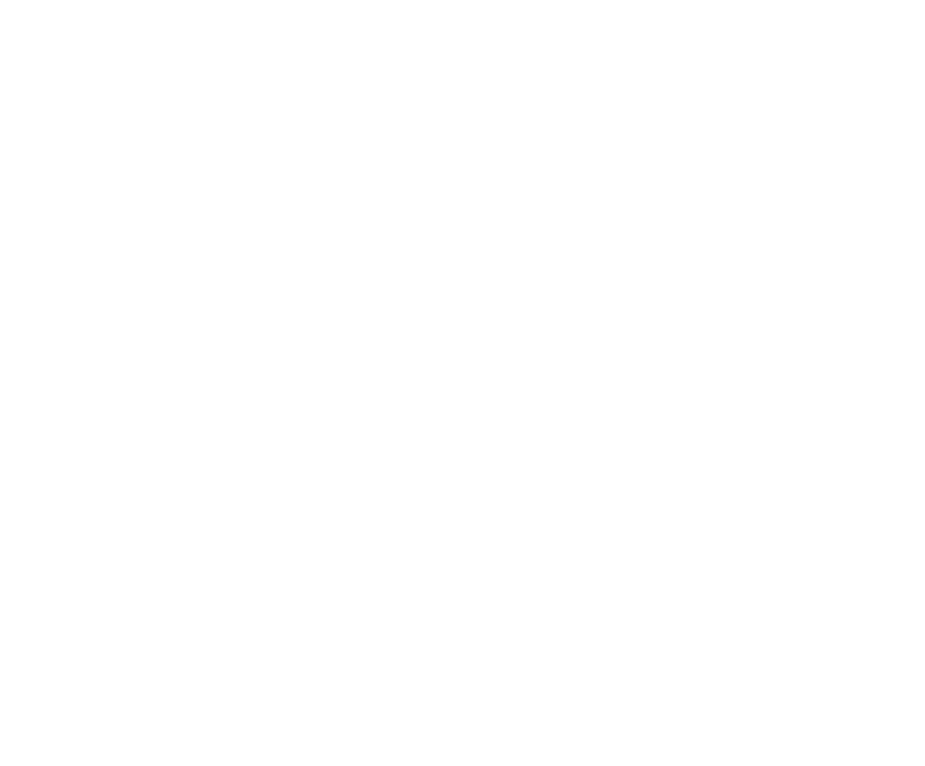 ConMoto Consulting