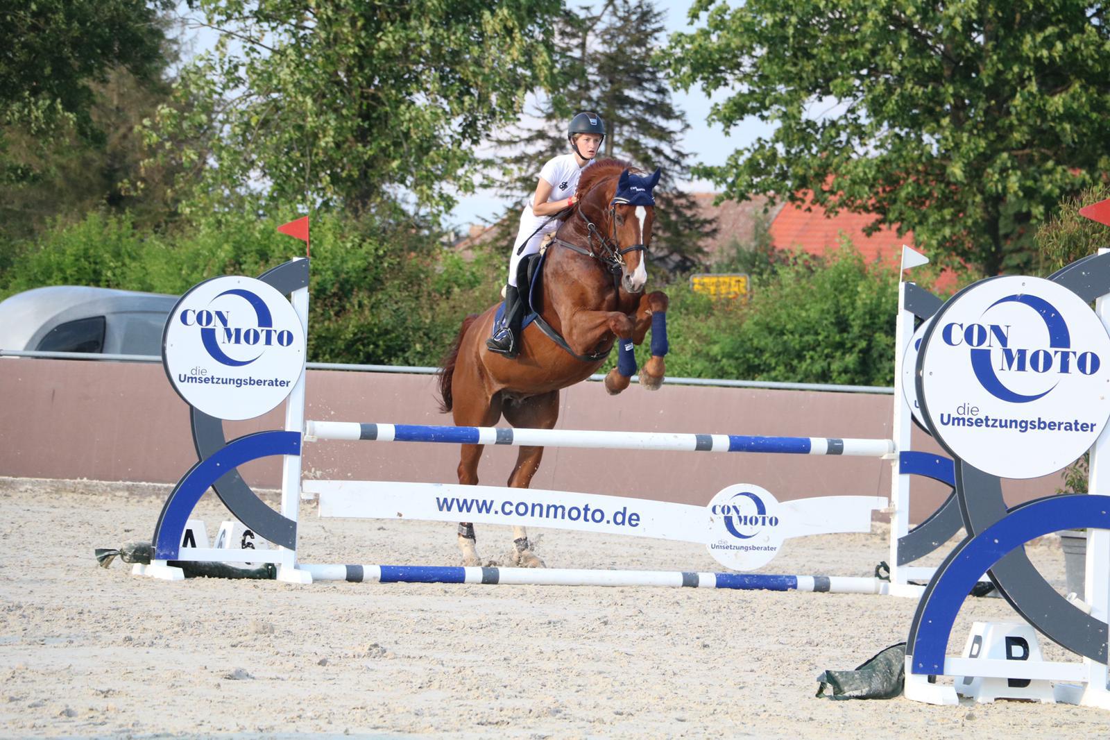 Annabell Wede won two A-jumps with ConMoto Crazy Cato and was second in L-Jump.