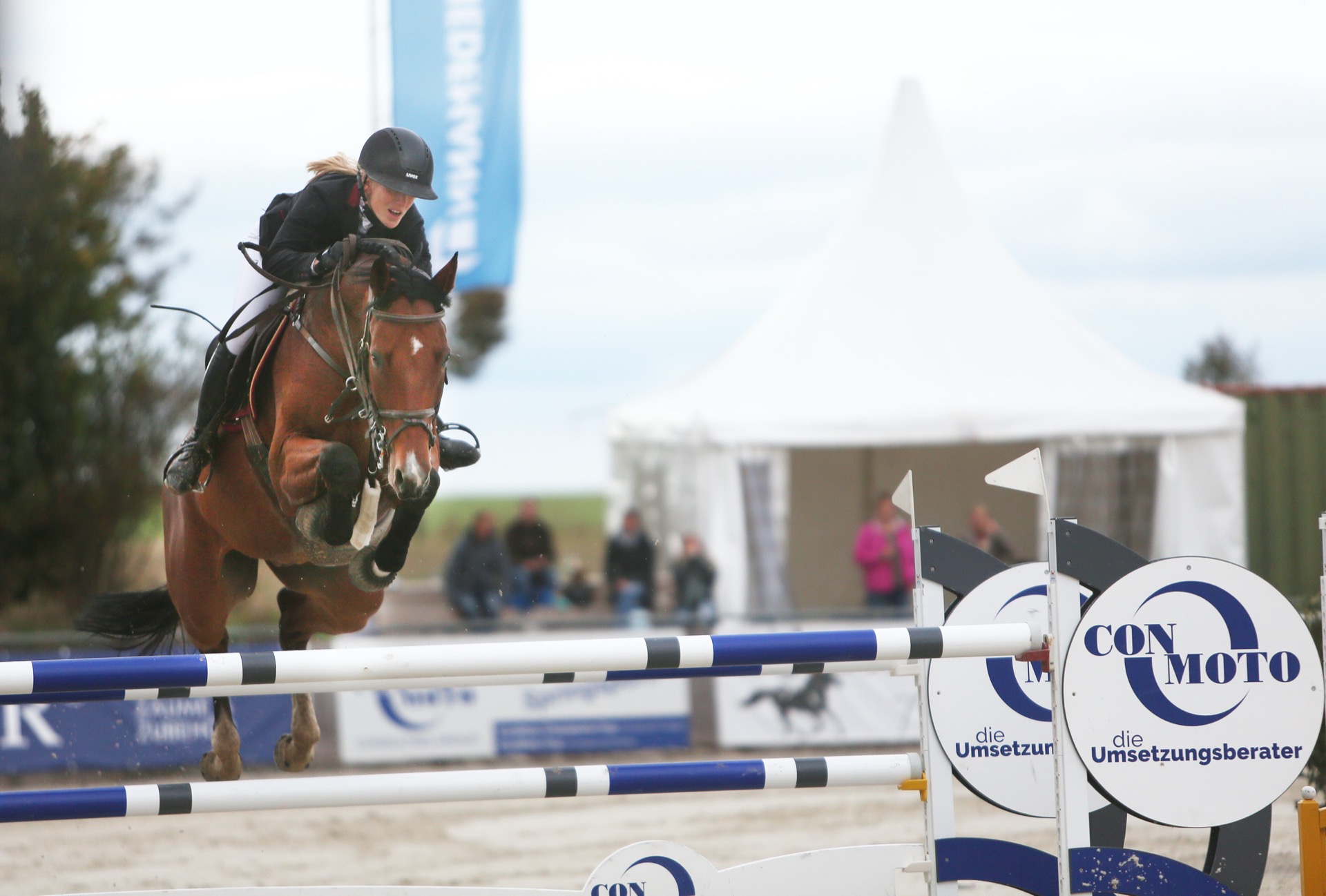 Finja Bormann and Clippo win at the Grand Prix in Harsum, picture: Der kleine Georg