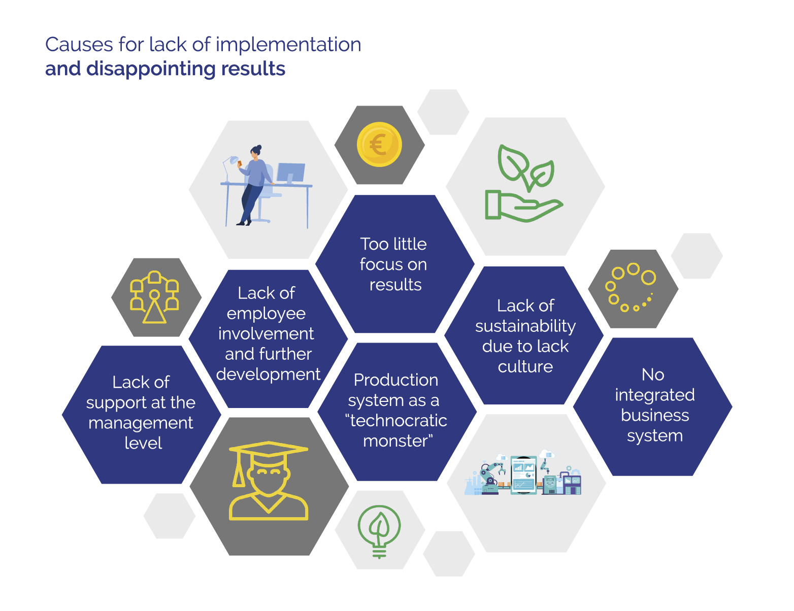 Causes for lack of implementation and disappointing results