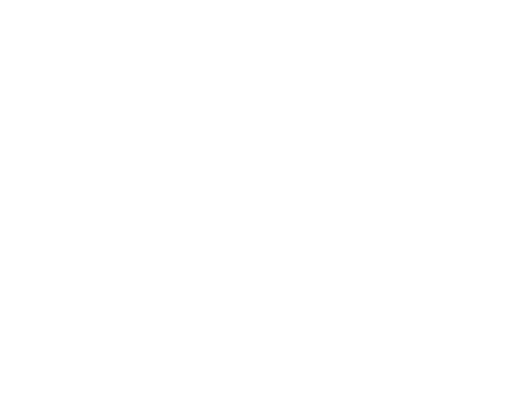 ConMoto Consulting